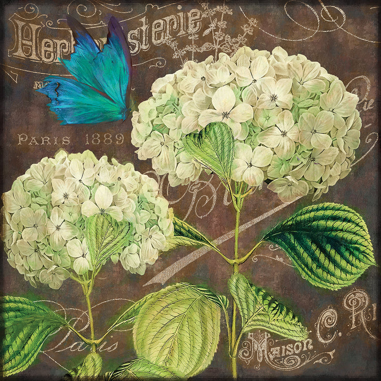 White Hydrangea