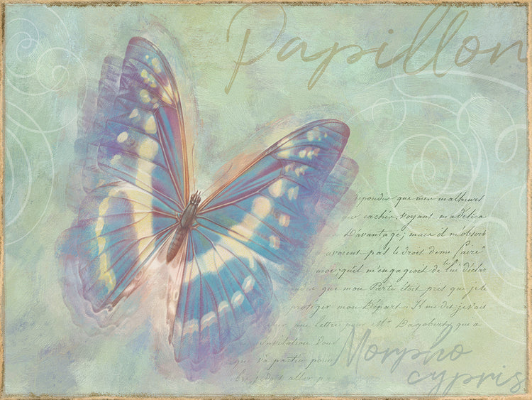 Cuadro en Lienzo Mariposa Morpho cypris de Papillon