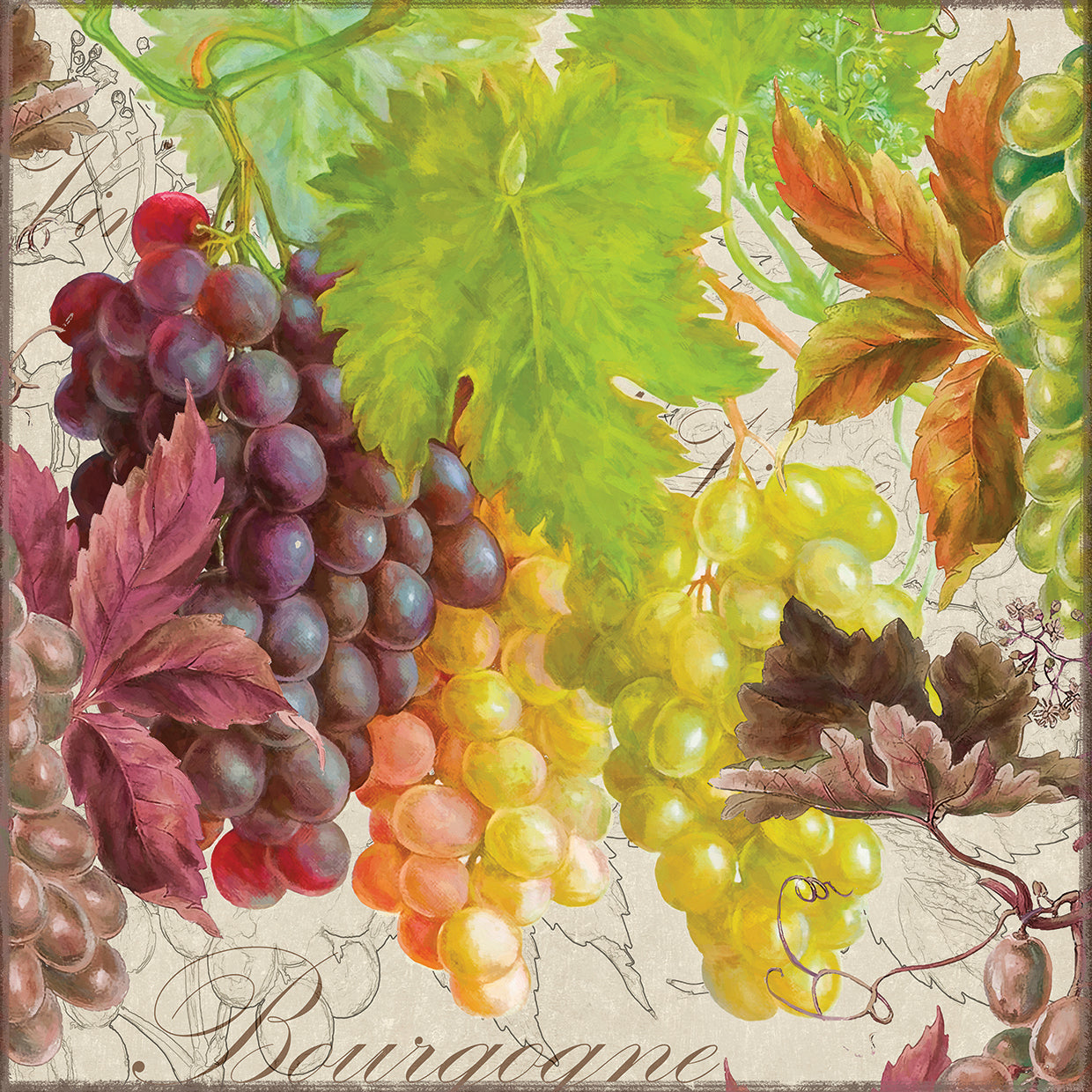 Arte de la lona de las uvas de las frutas II del vintage
