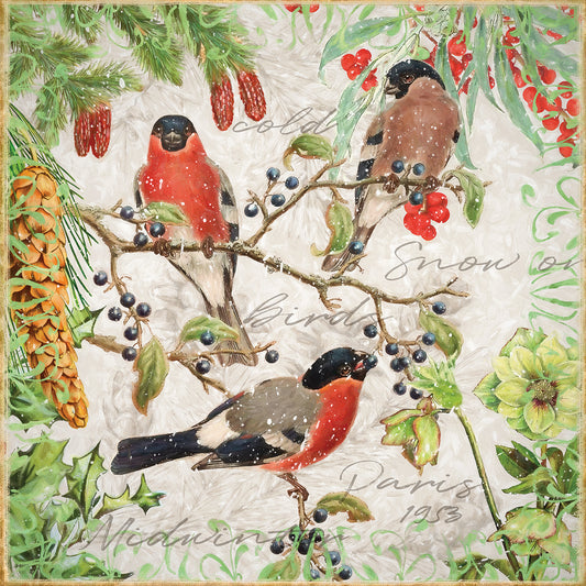 Winter Birds Bullfinches Canvas Print