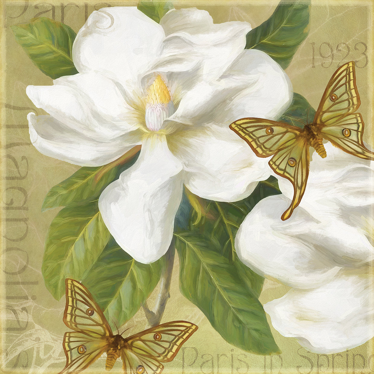 Paris Magnolia's in Spring I