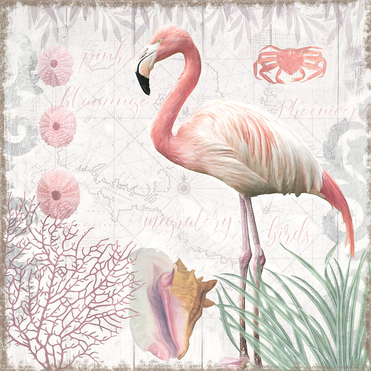 Waders I Flamingo