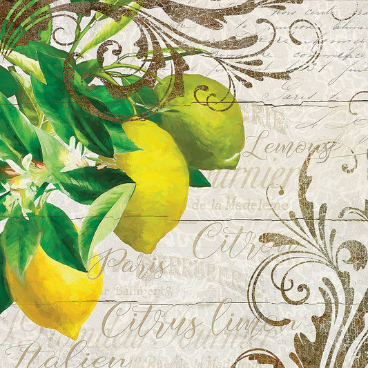 Lemons I Canvas Print