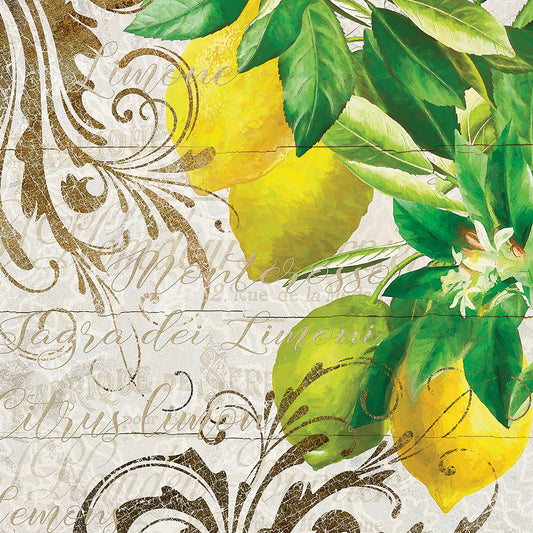 Lemons II Canvas Print