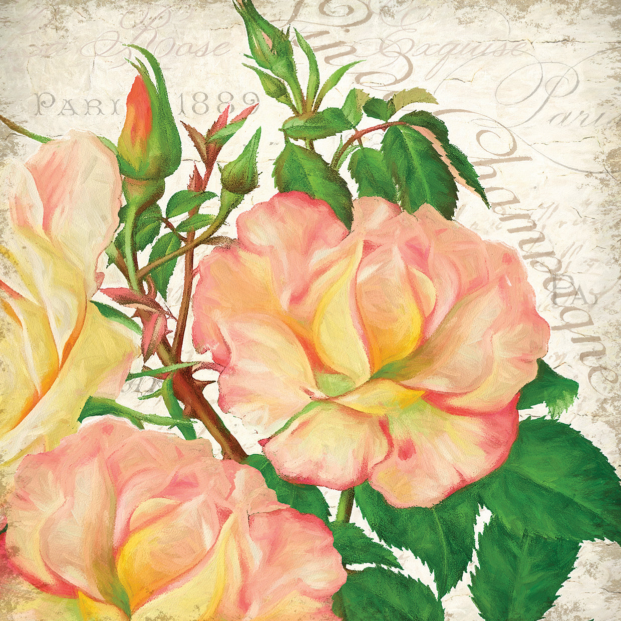 Exquisite Roses