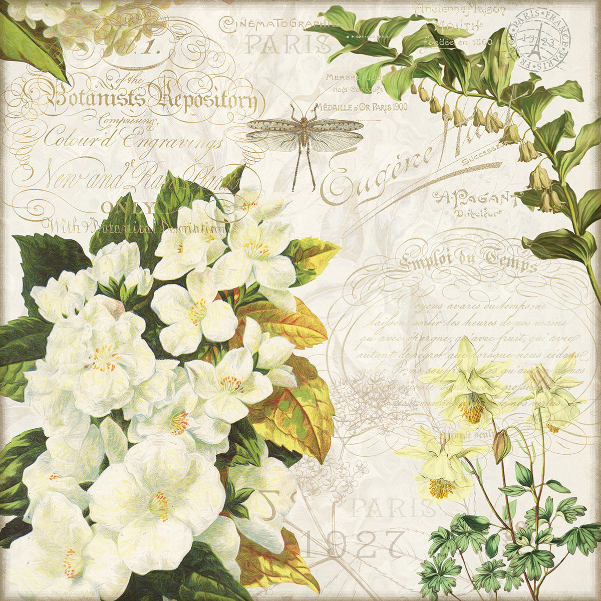 Beautiful Botany III