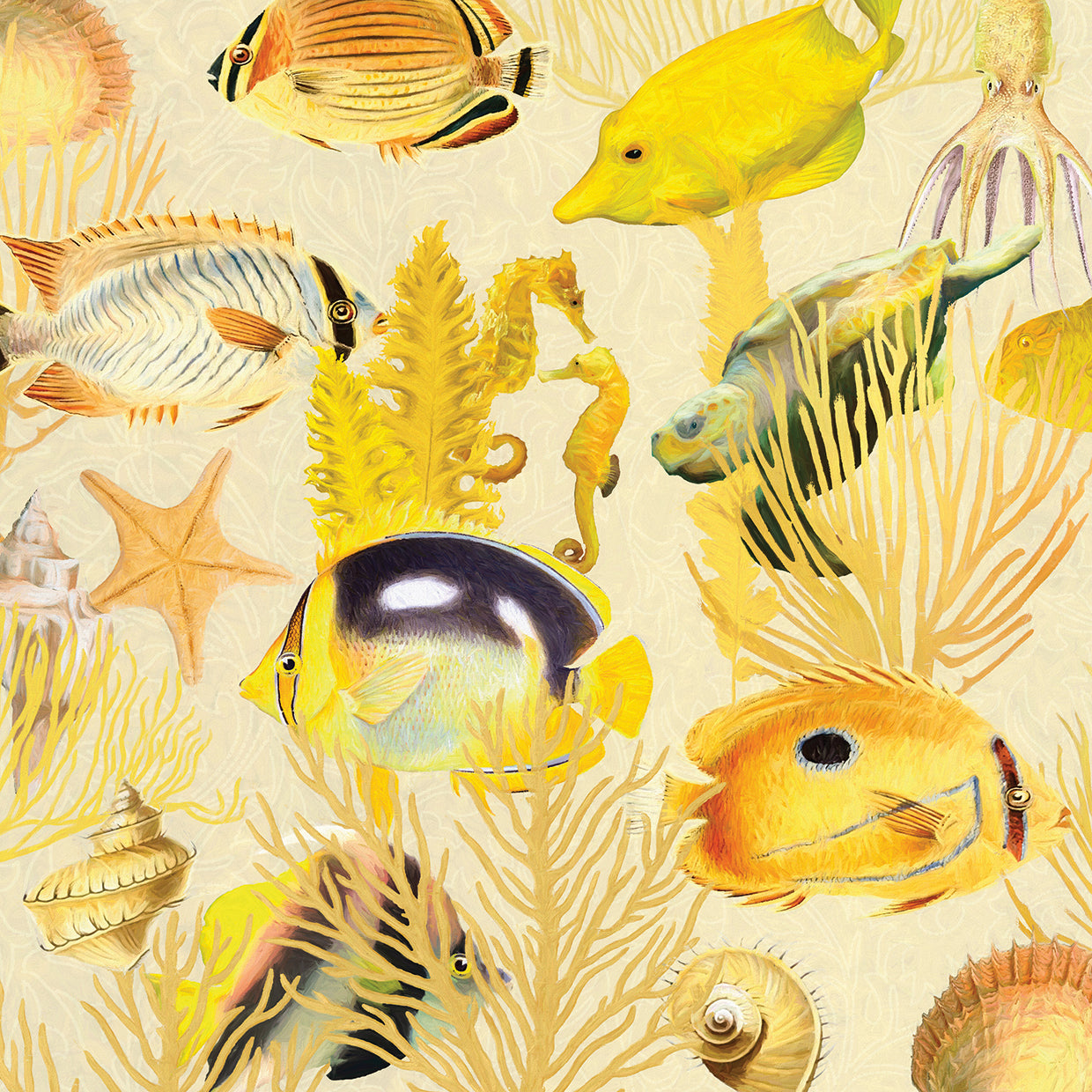 Tropical Sea Life