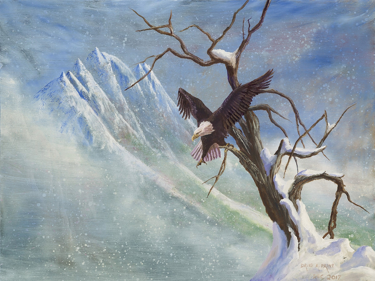 Winter Perch