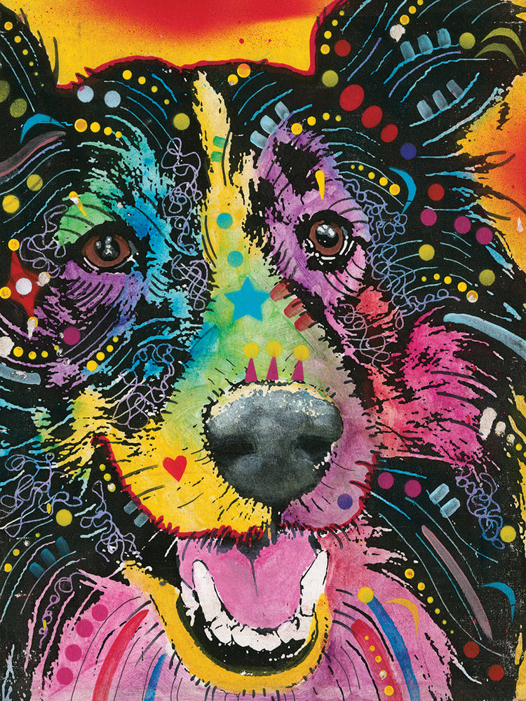 Smiling Collie by Dean Russo - highest quality handcrafted wall art work on large canvas & framed canvas prints