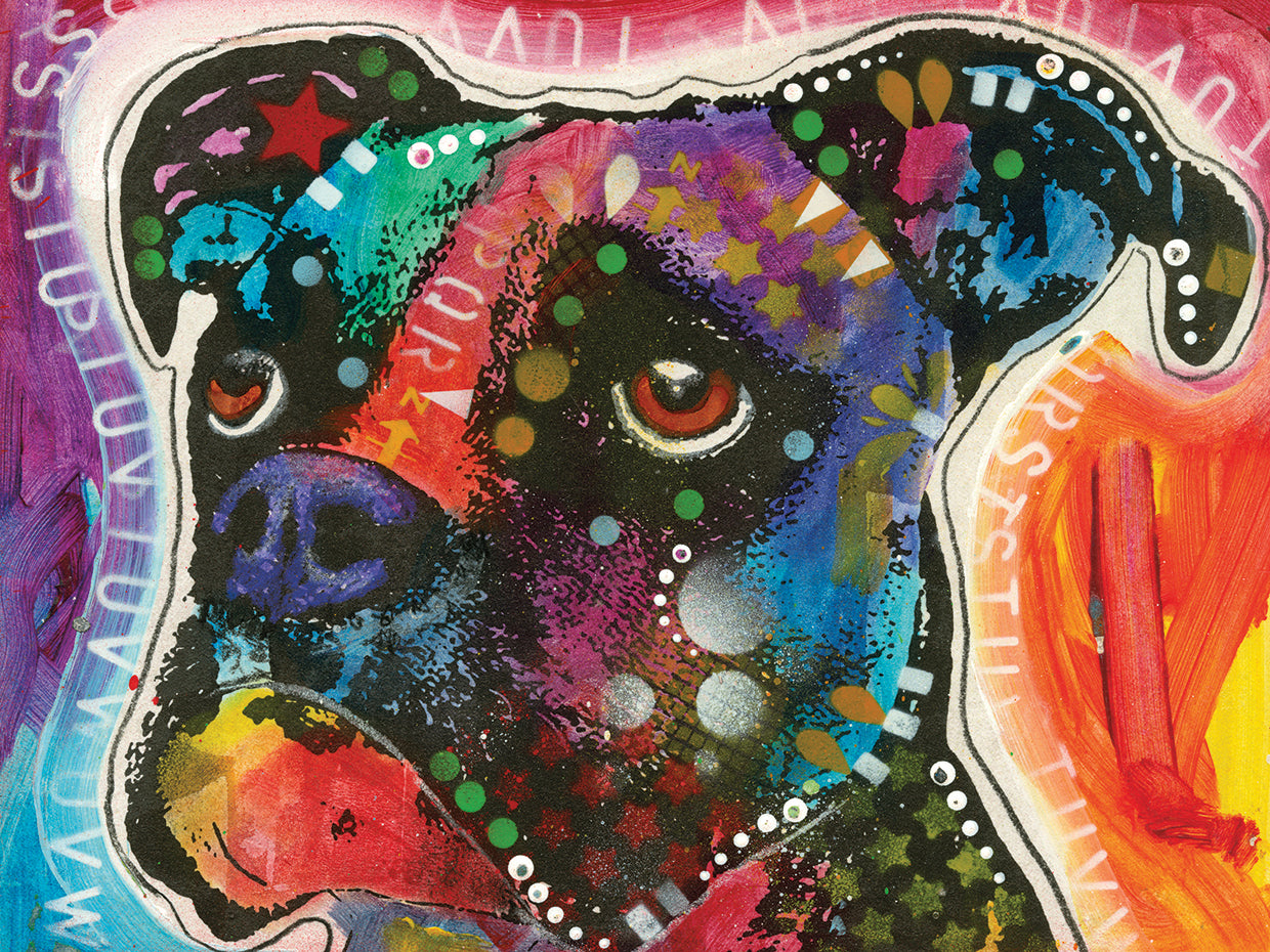 Pop Boxer by Dean Russo  - top quality wall art work on large canvas & framed canvas prints