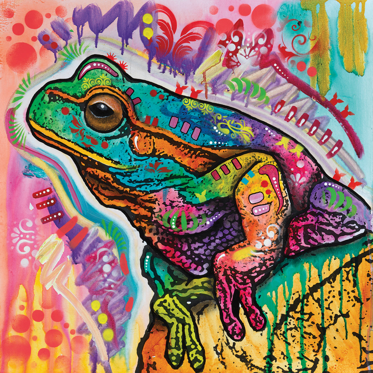 Psychedelic Frog - highest quality handcrafted wall art work on large canvas & framed canvas prints by Dean Russo 