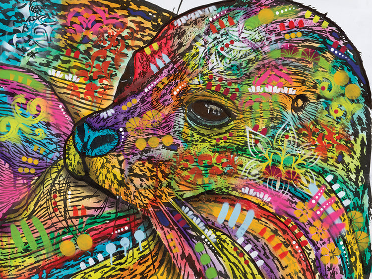 Seal - highest quality handcrafted wall art work on large canvas & framed canvas prints by Dean Russo 