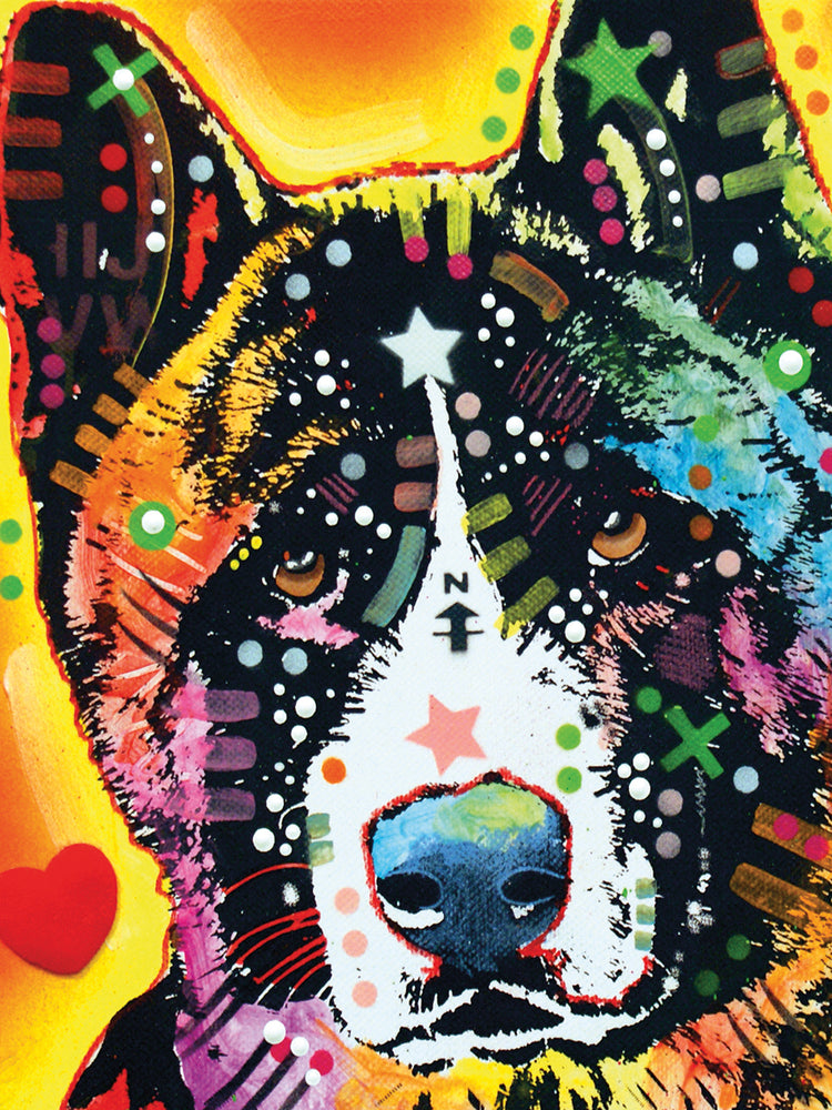 Akita - highest quality handcrafted wall art work on large canvas & framed canvas prints by Dean Russo 