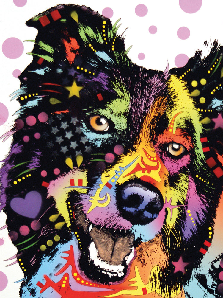 Border Collie - highest quality handcrafted wall art work on large canvas & framed canvas prints by Dean Russo 