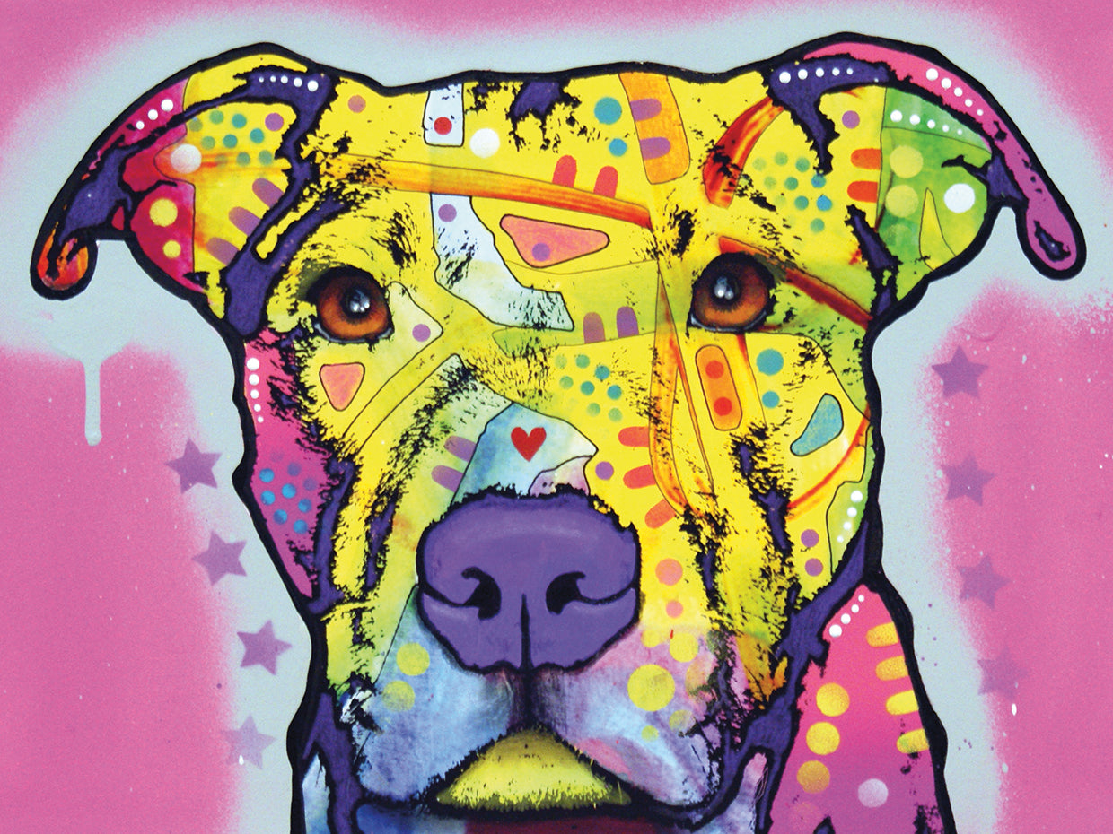 Focused Pit - highest quality handcrafted wall art work on large canvas & framed canvas prints by Dean Russo 