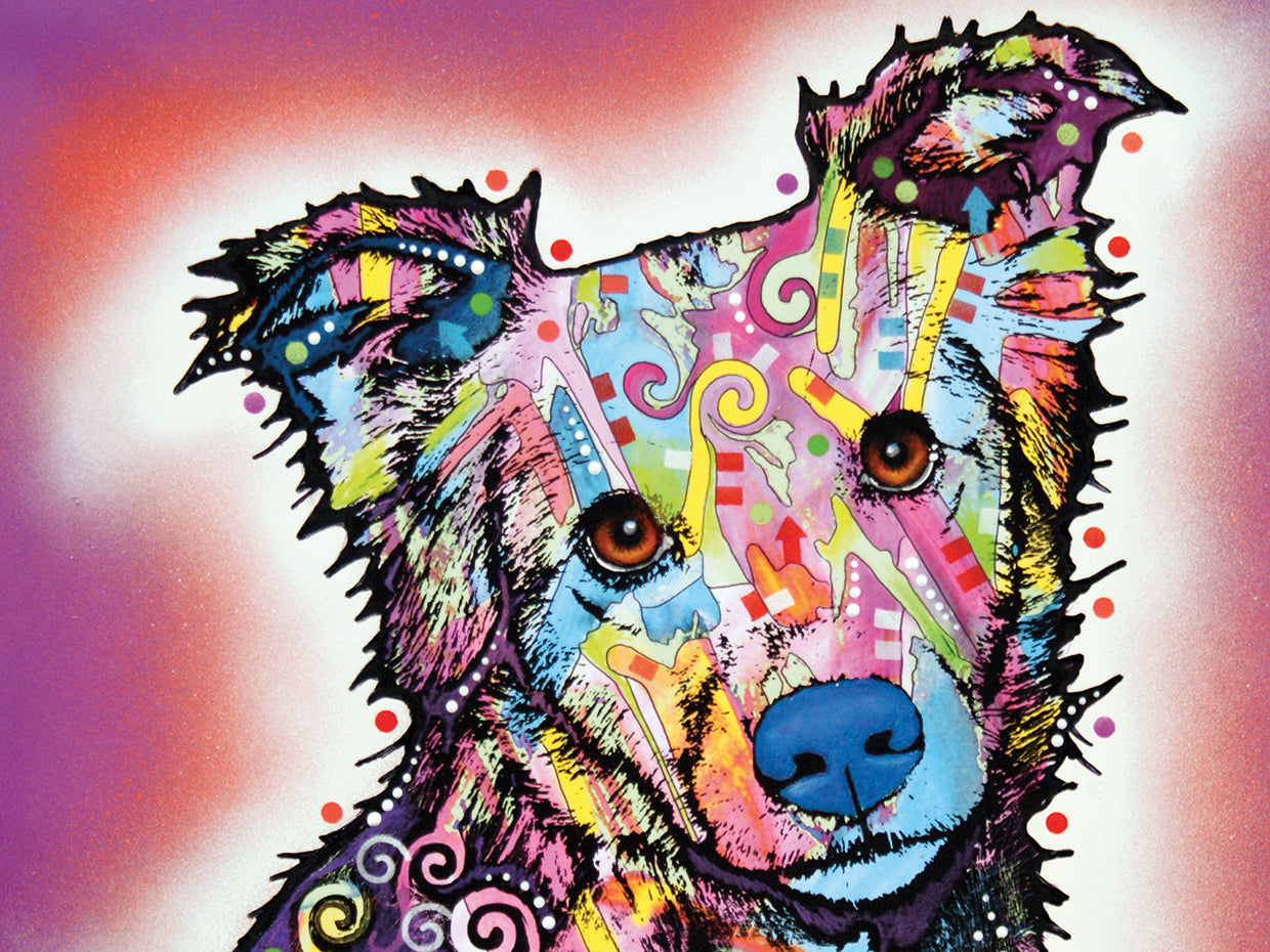 Collied - highest quality handcrafted wall art work on large canvas & framed canvas prints by Dean Russo 