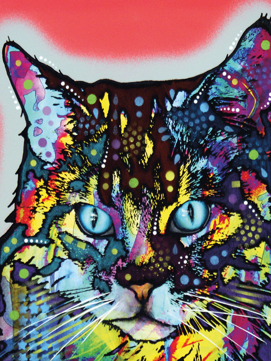 Maine Coon - highest quality handcrafted wall art work on large canvas & framed canvas prints by Dean Russo 