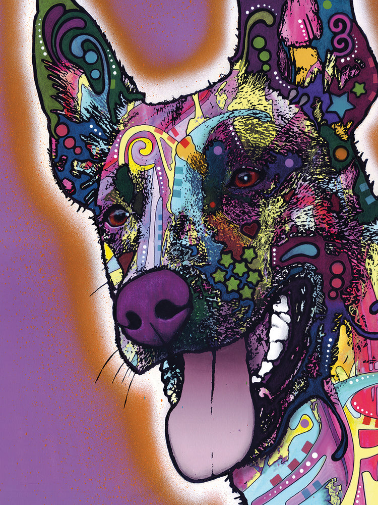 Malinois - highest quality handcrafted wall art work on large canvas & framed canvas prints by Dean Russo 