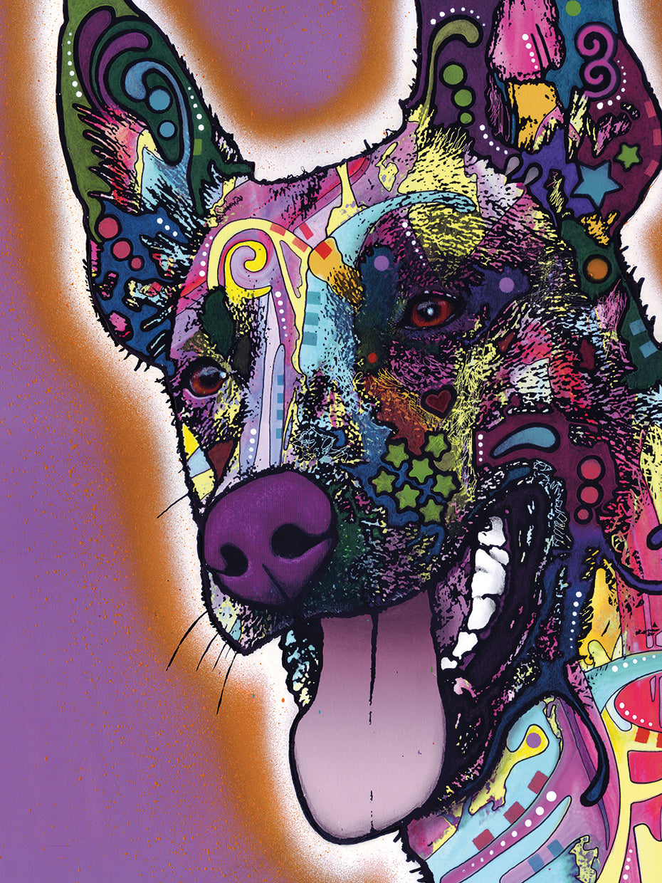 Malinois - highest quality handcrafted wall art work on large canvas & framed canvas prints by Dean Russo 