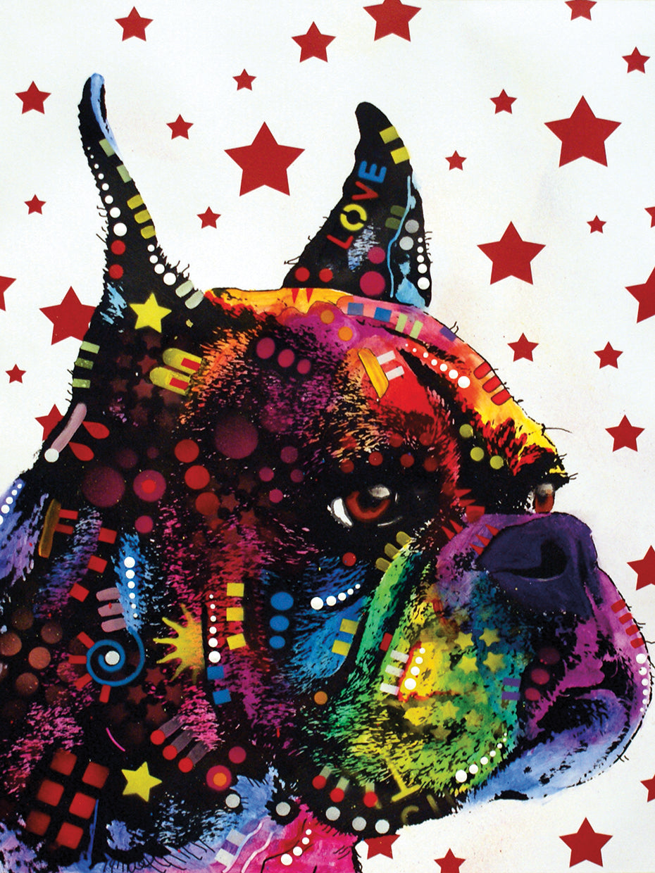 Profile Boxer 2 - highest quality handcrafted wall art work on large canvas & framed canvas prints by Dean Russo 