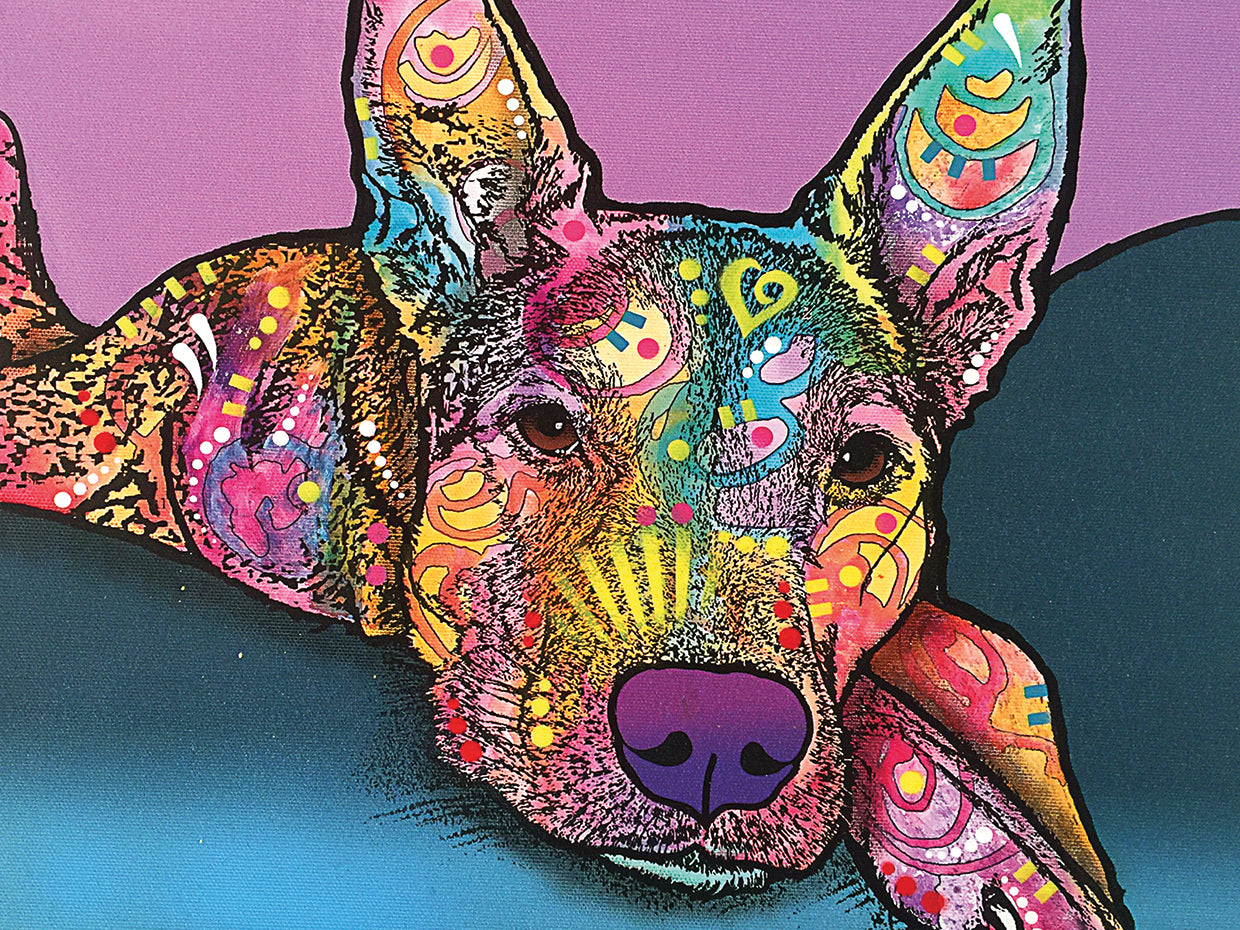 Rocky - highest quality handcrafted wall art work on large canvas & framed canvas prints by Dean Russo 