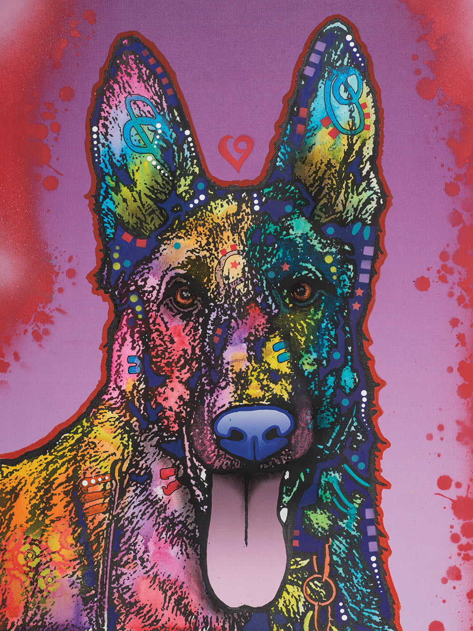 Ninja - highest quality handcrafted wall art work on large canvas & framed canvas prints by Dean Russo 