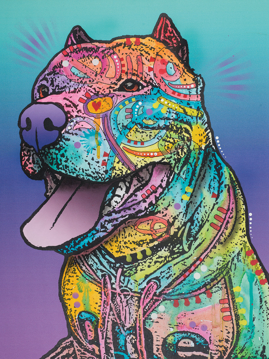 Riliad - highest quality handcrafted wall art work on large canvas & framed canvas prints by Dean Russo 