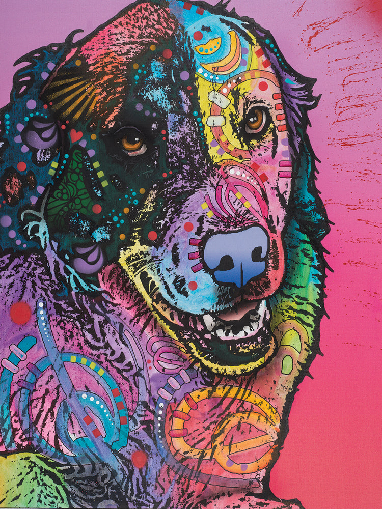 Splatter - highest quality handcrafted wall art work on large canvas & framed canvas prints by Dean Russo 