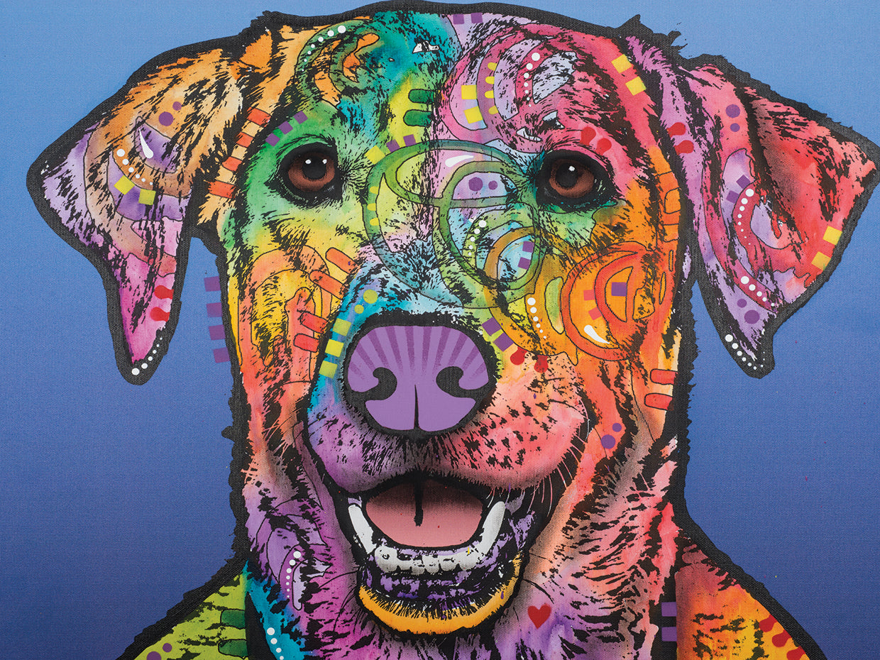 Rocco - highest quality handcrafted wall art work on large canvas & framed canvas prints by Dean Russo 