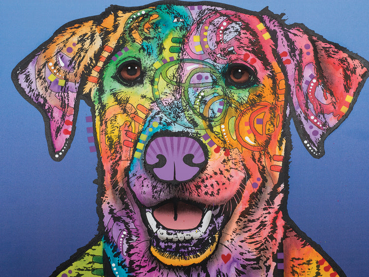 Rocco - highest quality handcrafted wall art work on large canvas & framed canvas prints by Dean Russo 