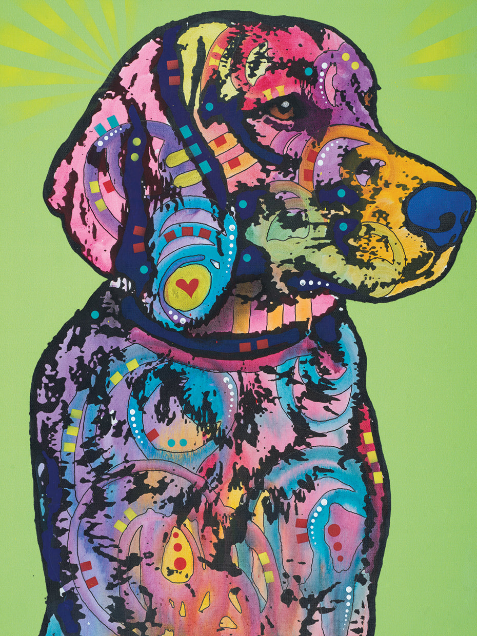 Hank B 19 - highest quality handcrafted wall art work on large canvas & framed canvas prints by Dean Russo 