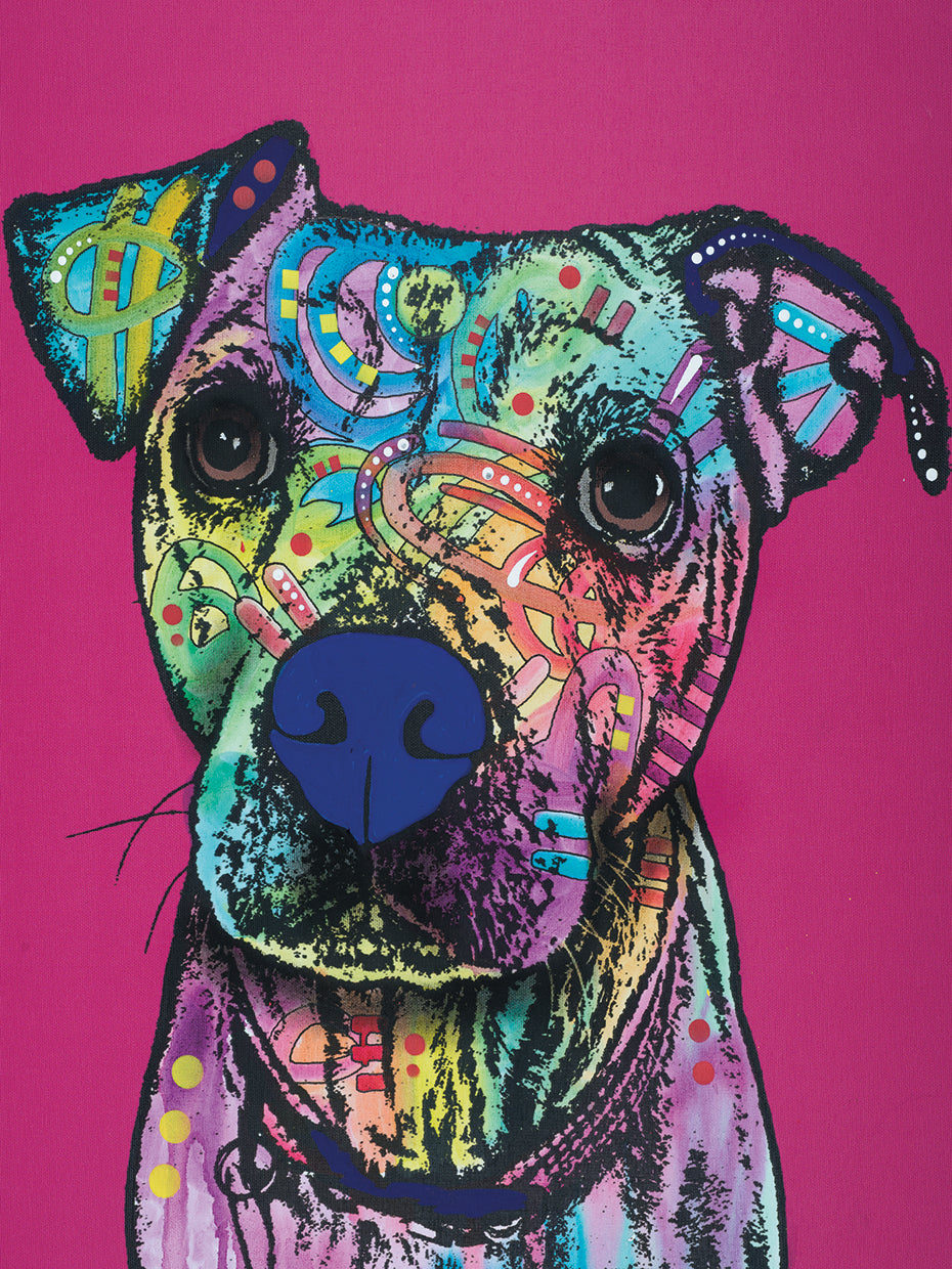 Rosa 23 - highest quality handcrafted wall art work on large canvas & framed canvas prints by Dean Russo 