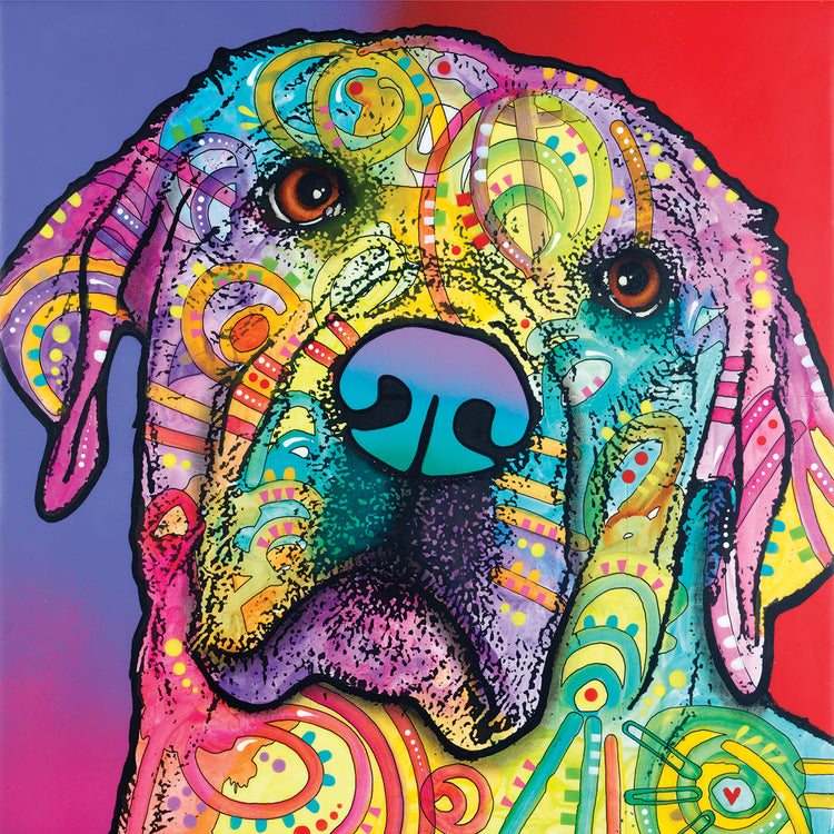 Starry Lab - highest quality handcrafted wall art work on large canvas & framed canvas prints by Dean Russo 