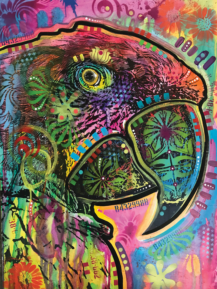 Close Up Parrot - highest quality handcrafted wall art work on large canvas & framed canvas prints by Dean Russo 