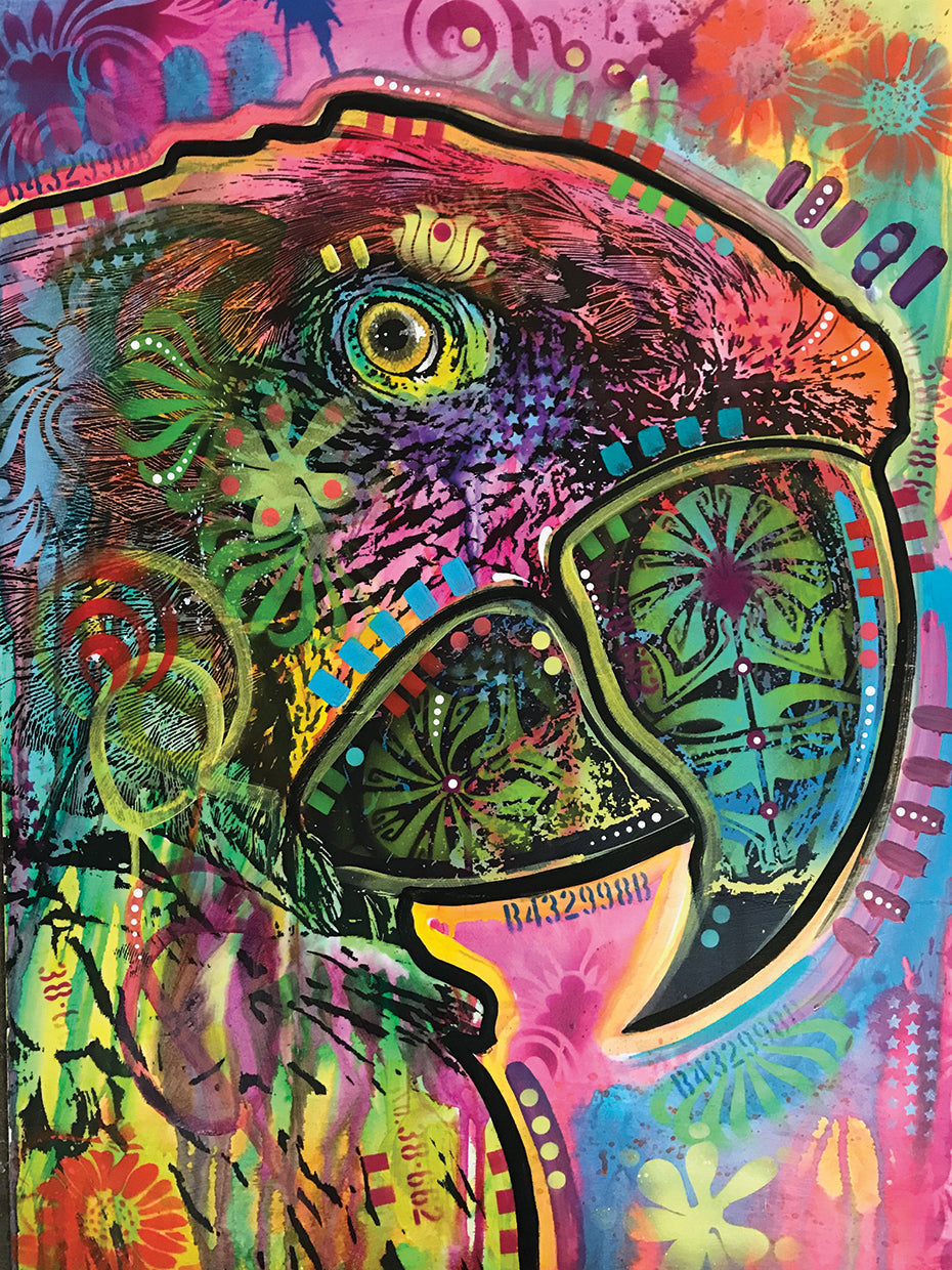 Close Up Parrot - highest quality handcrafted wall art work on large canvas & framed canvas prints by Dean Russo 