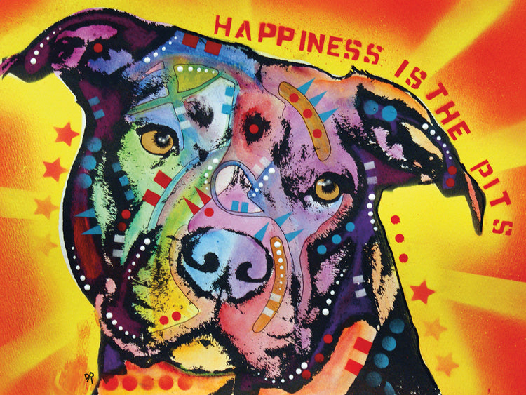 Happiness Is The Pits Sunray - highest quality handcrafted wall art work on large canvas & framed canvas prints by Dean Russo 