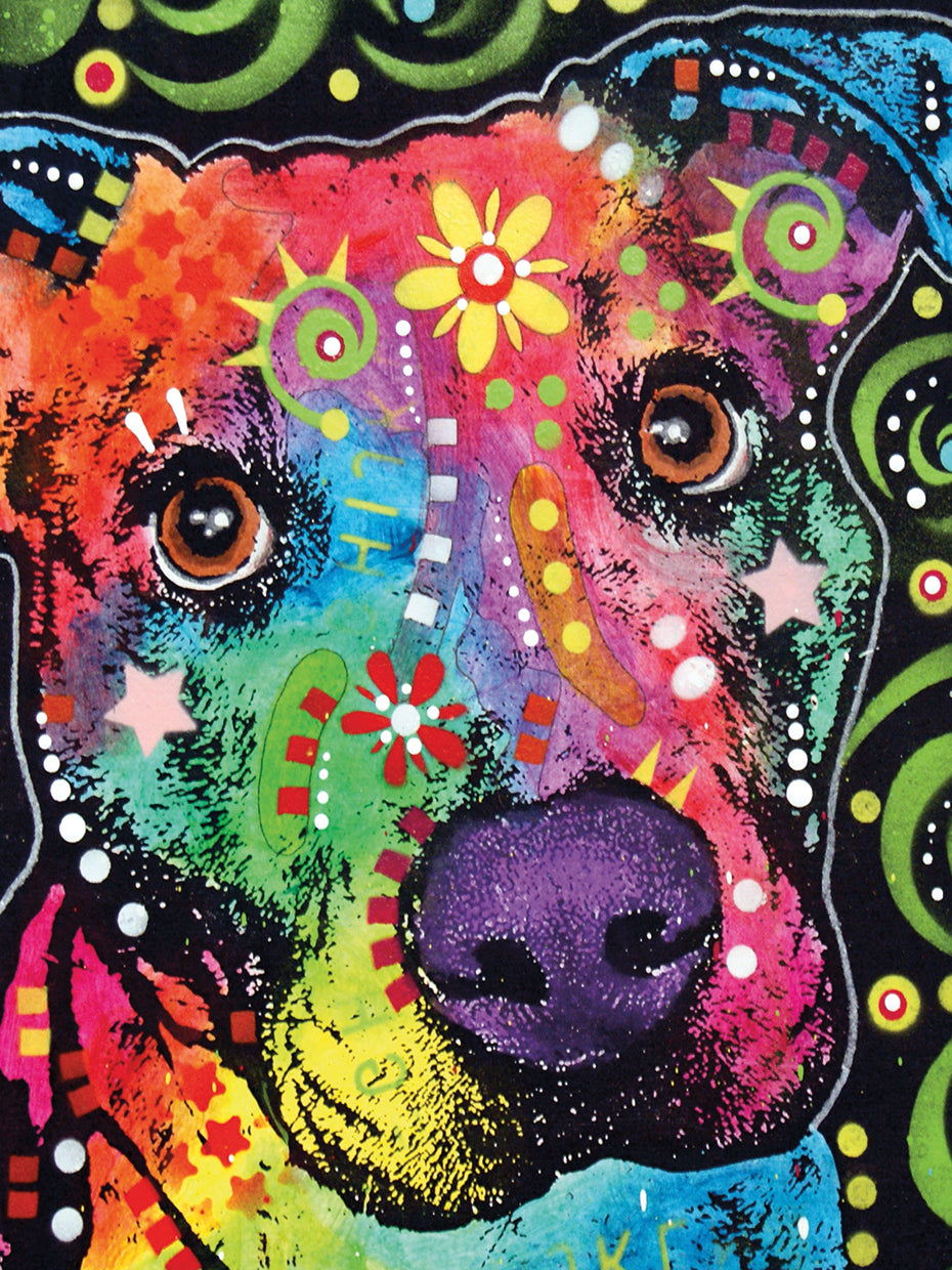 Passion Pit - highest quality handcrafted wall art work on large canvas & framed canvas prints by Dean Russo 