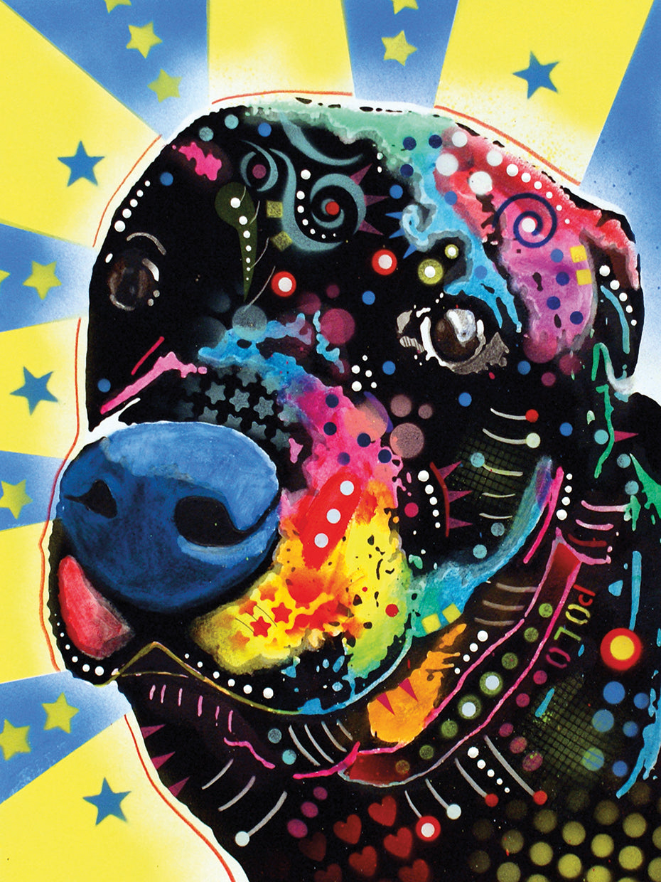 Polo - highest quality handcrafted wall art work on large canvas & framed canvas prints by Dean Russo 