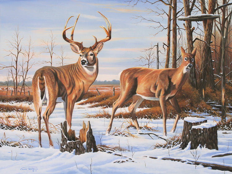 Missed Opportunity 2