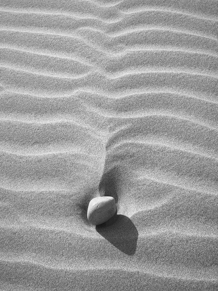 Sand Wind and Light No 2 Arte en lienzo en blanco y negro