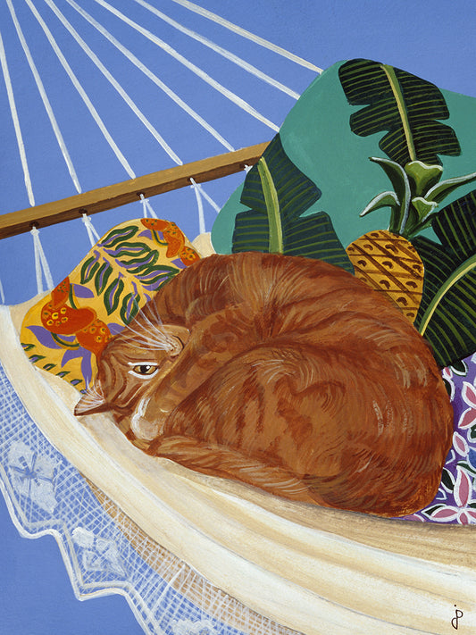 Catnapping In A Hammock Canvas Art
