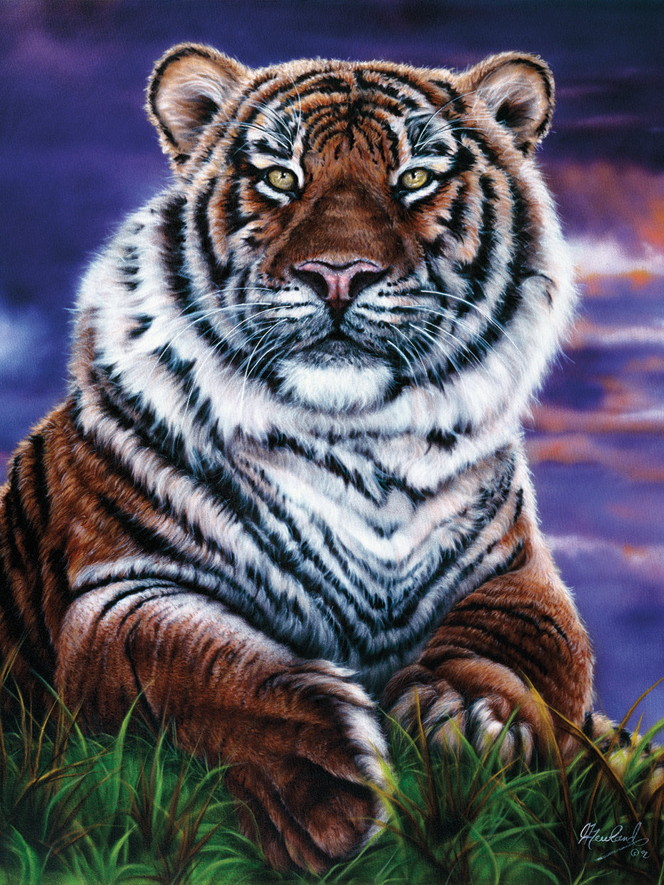 Arizona Tiger