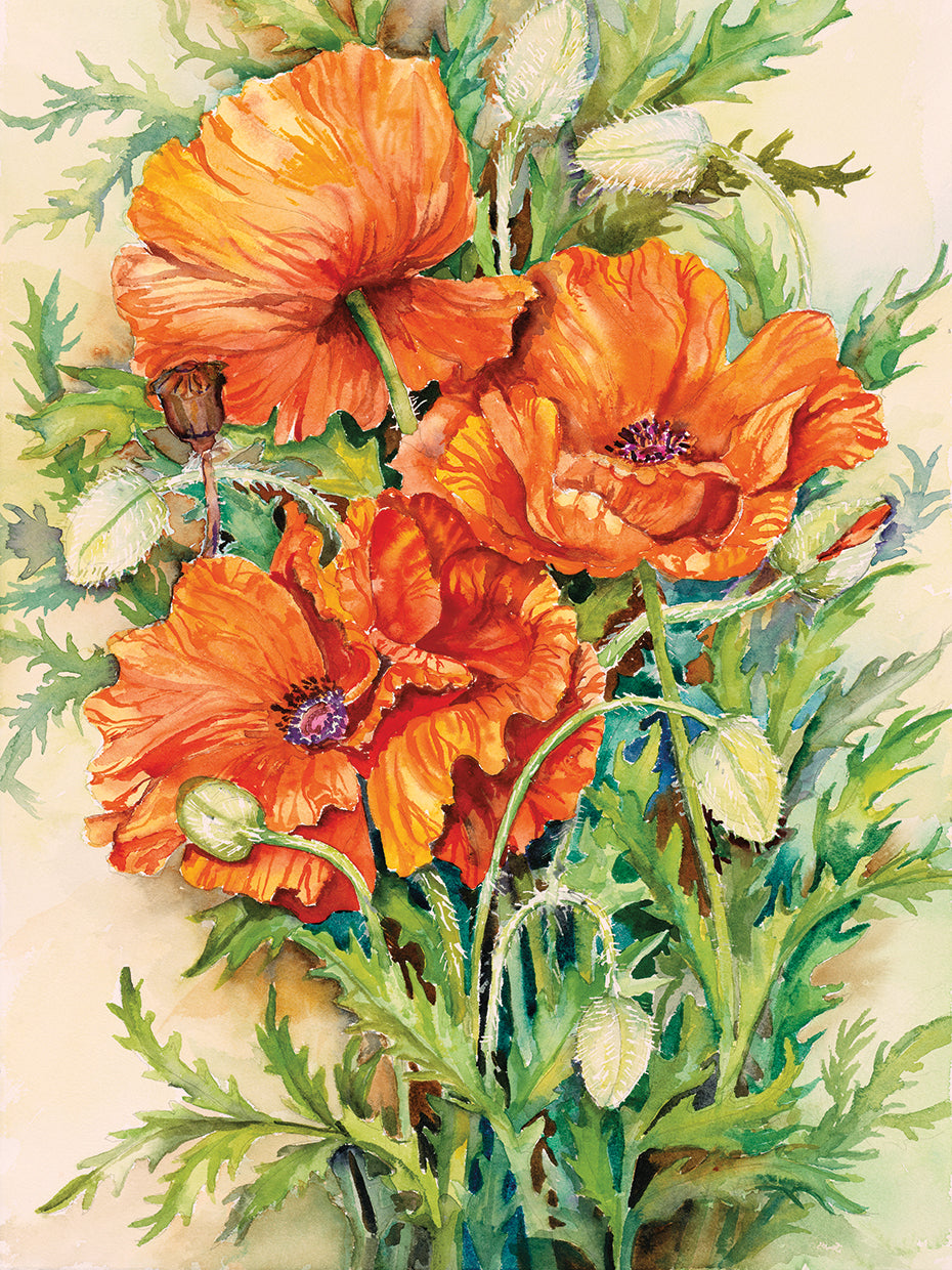 Cluster of Poppies