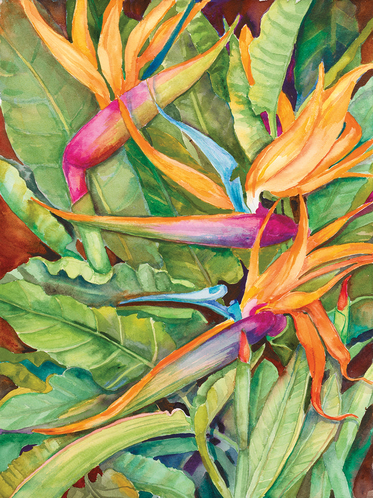 Arte de la lona de las aves del paraíso
