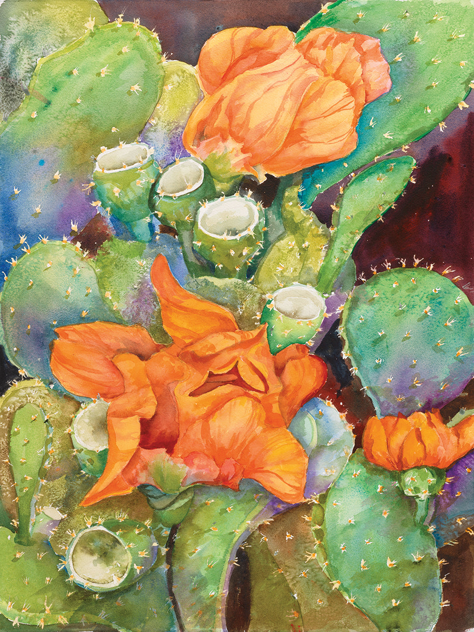 Desert Blooms