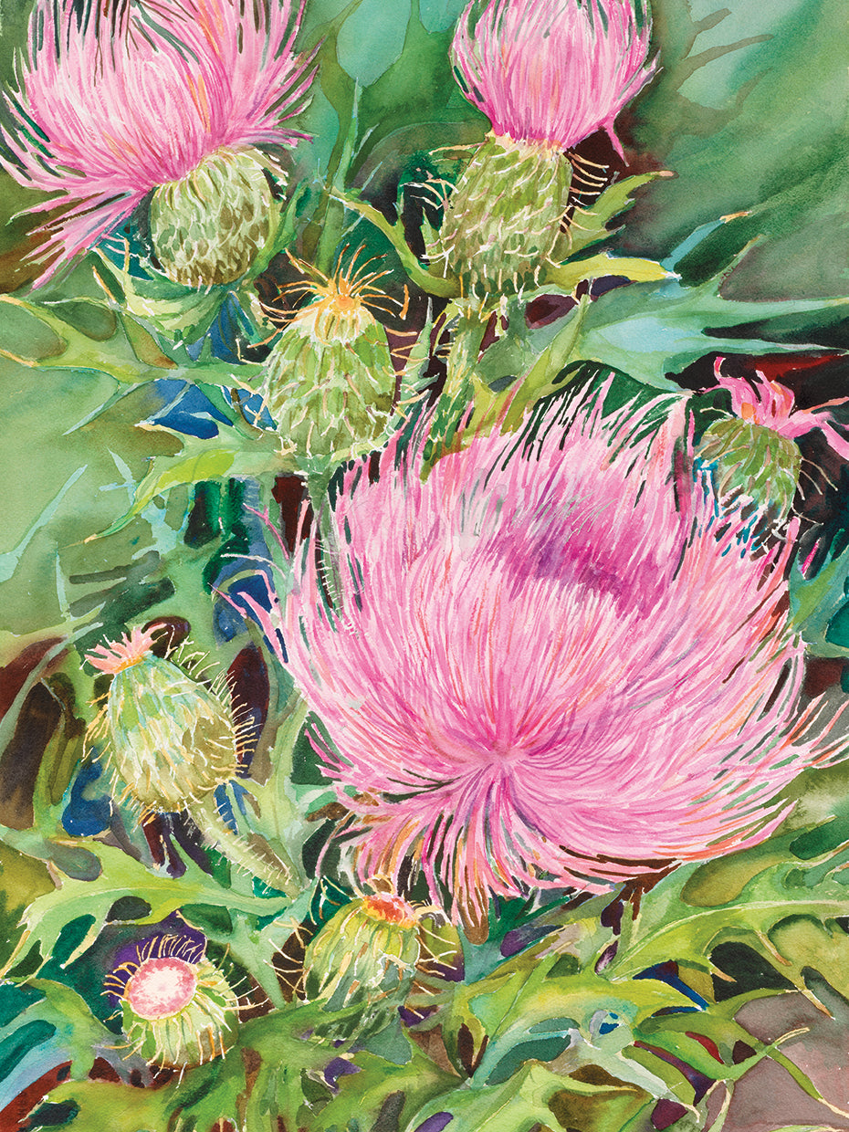 Thistles
