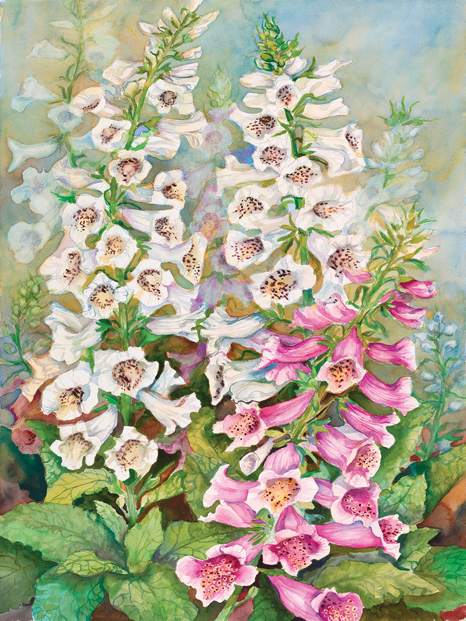 Foxglove Spears