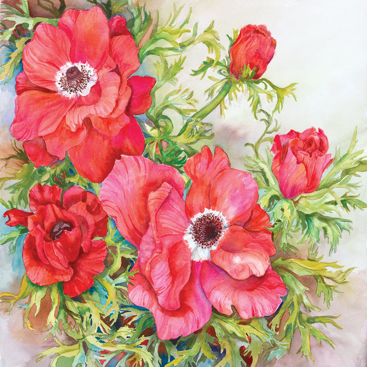 Red Anemones