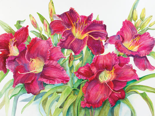 Red Daylilies with Yellow Centers