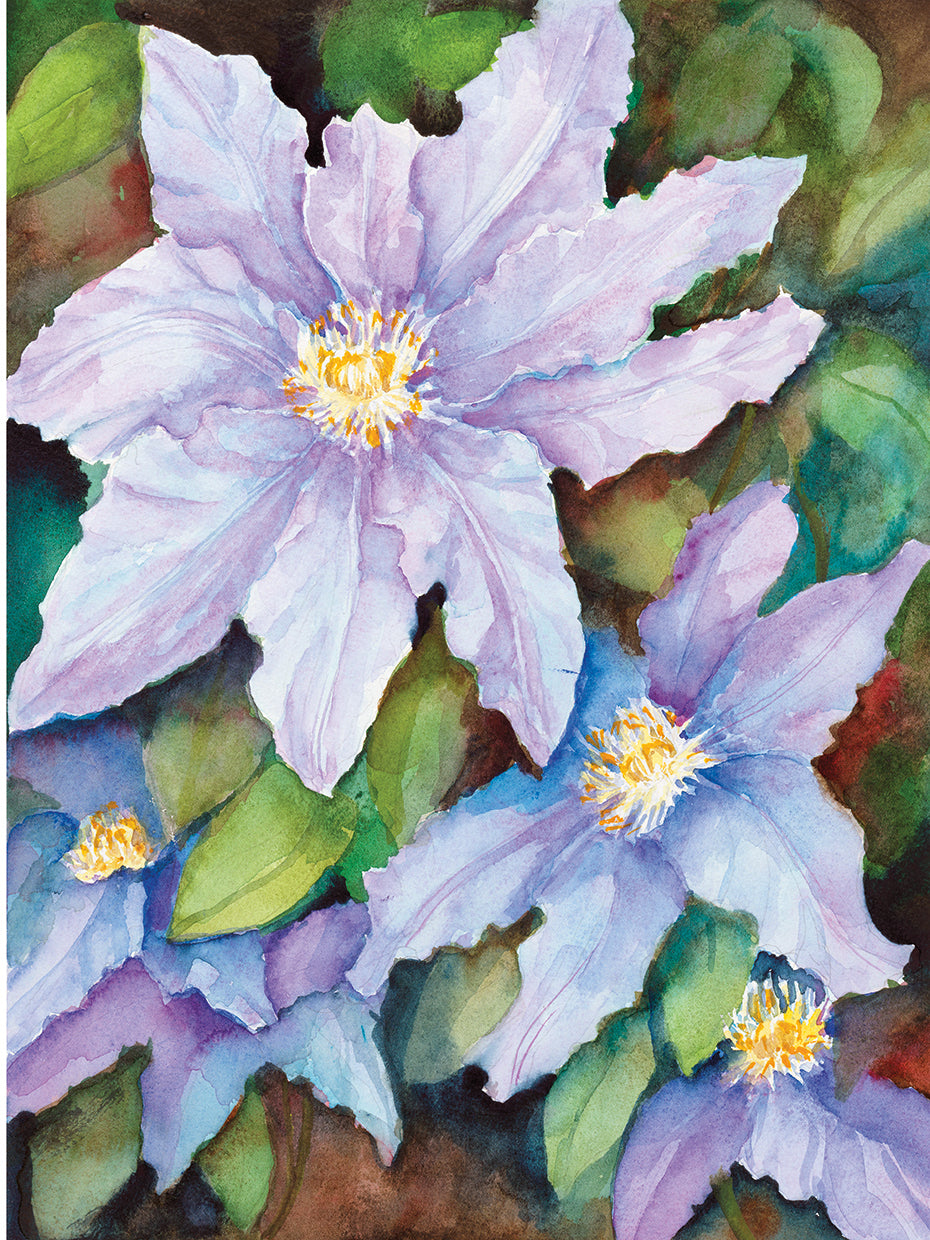 Lavender Cosmos